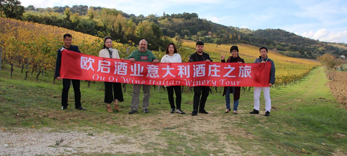 掌舵酒業進出口 在互聯網時代的藍海中破浪前行